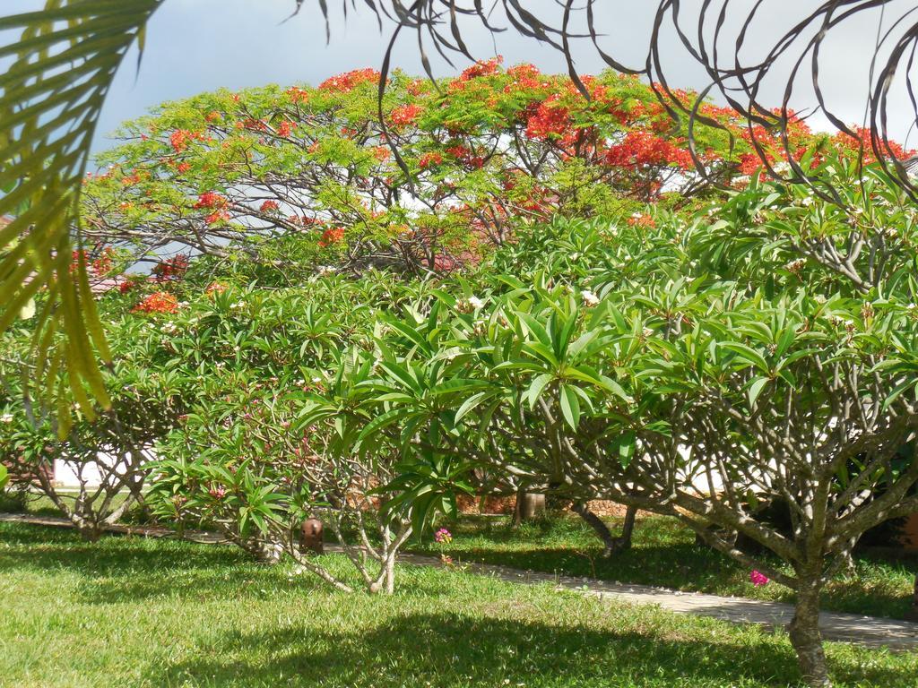Swahili Beach Resort Zanzibar Extérieur photo